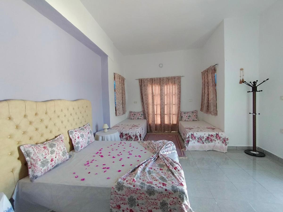 Henchir Ejdoud Pensionat Kairouan Exteriör bild