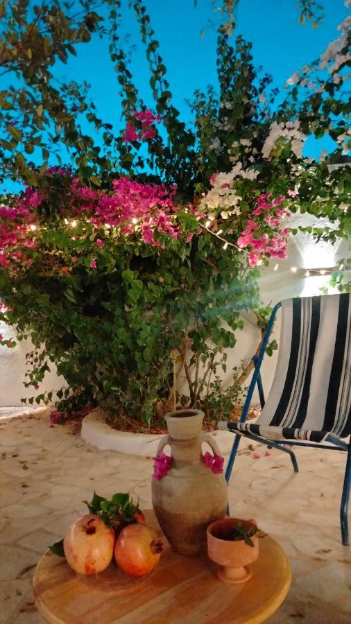 Henchir Ejdoud Pensionat Kairouan Exteriör bild